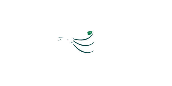 Mango Mela